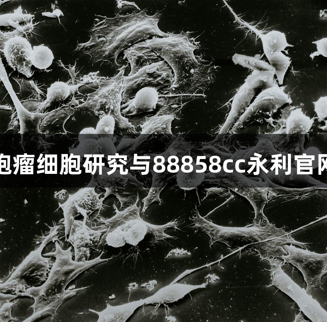 人脑胶质母细胞瘤细胞研究与88858cc永利官网的突破性进展
