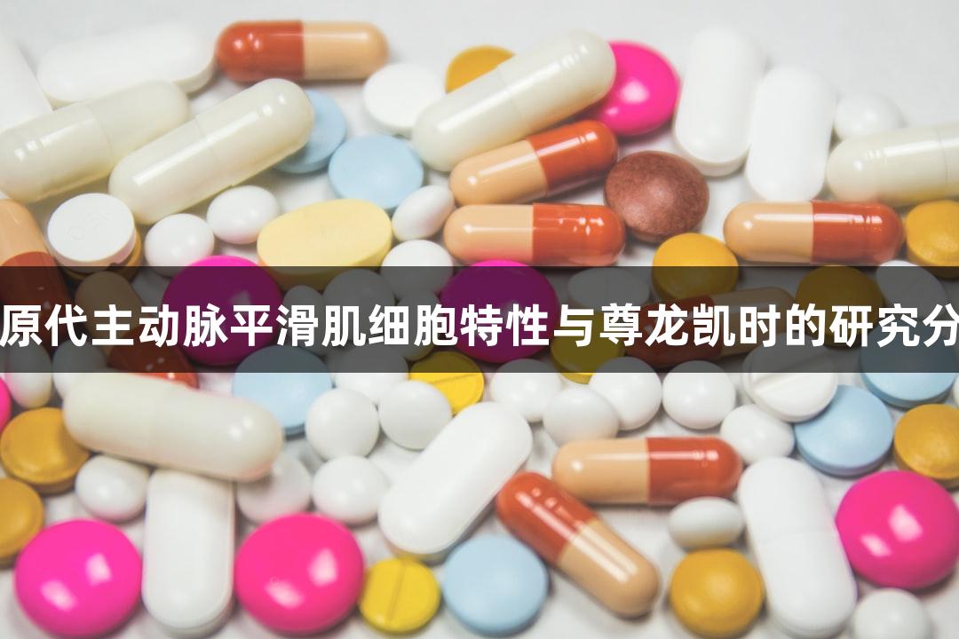 羊原代主动脉平滑肌细胞特性与尊龙凯时的研究分析