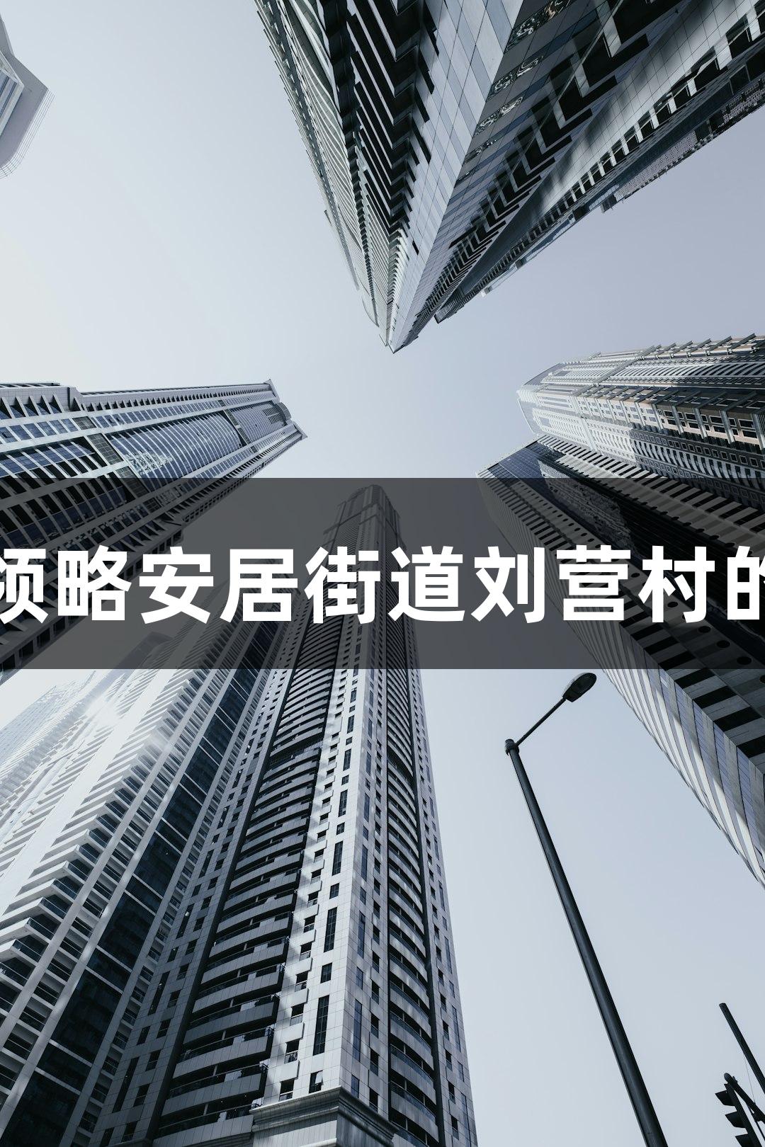 尊龙凯时带您领略安居街道刘营村的童声军歌之旅