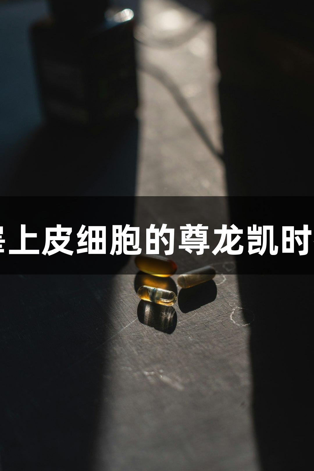 羊原代附睾上皮细胞的尊龙凯时研究与应用