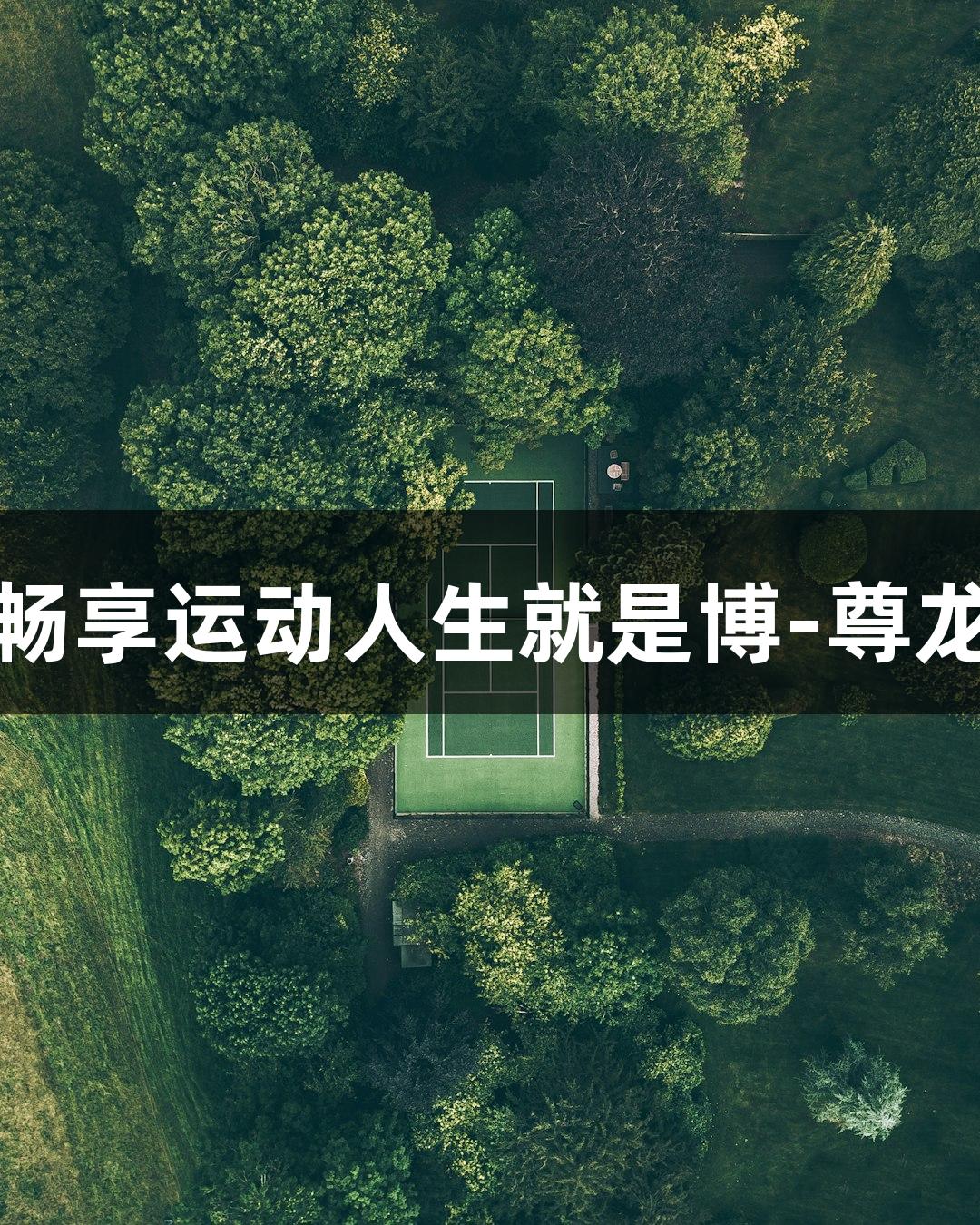 肆意畅享运动人生就是博-尊龙凯时