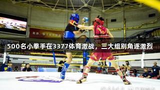 500名小拳手在3377体育激战，三大组别角逐激烈