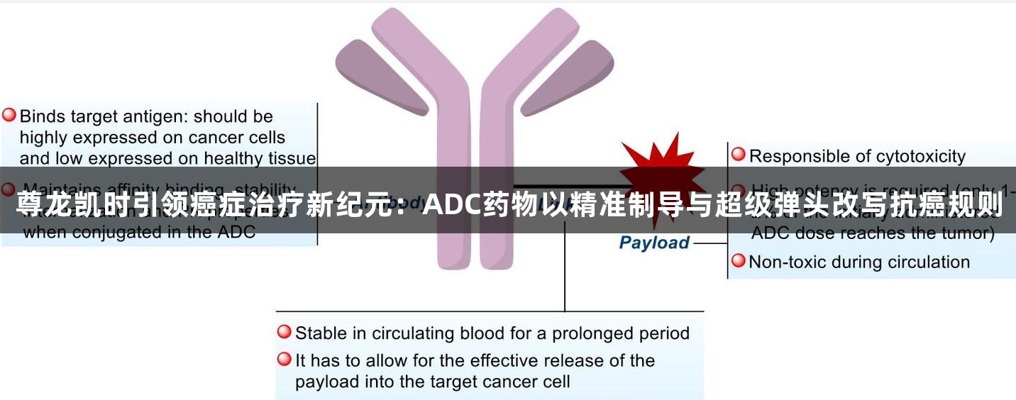 尊龙凯时引领癌症治疗新纪元：ADC药物以精准制导与超级弹头改写抗癌规则