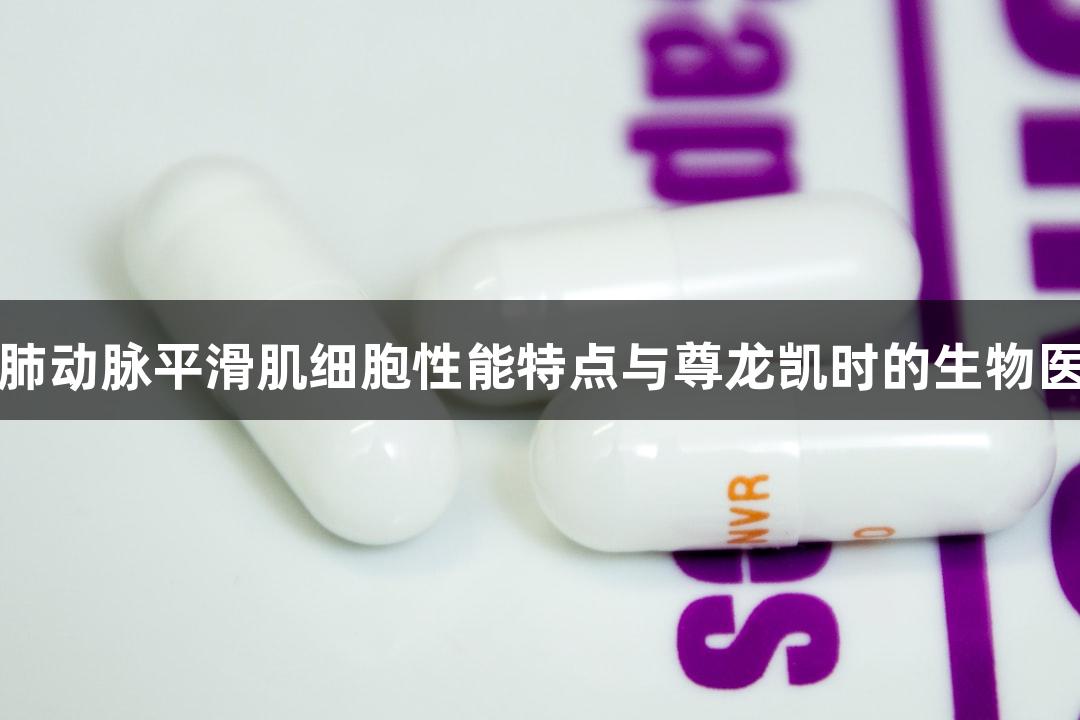 羊原代肺动脉平滑肌细胞性能特点与尊龙凯时的生物医疗研究