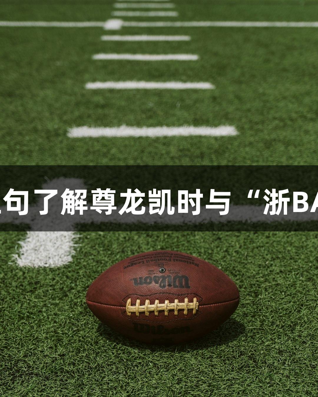五句了解尊龙凯时与“浙BA”