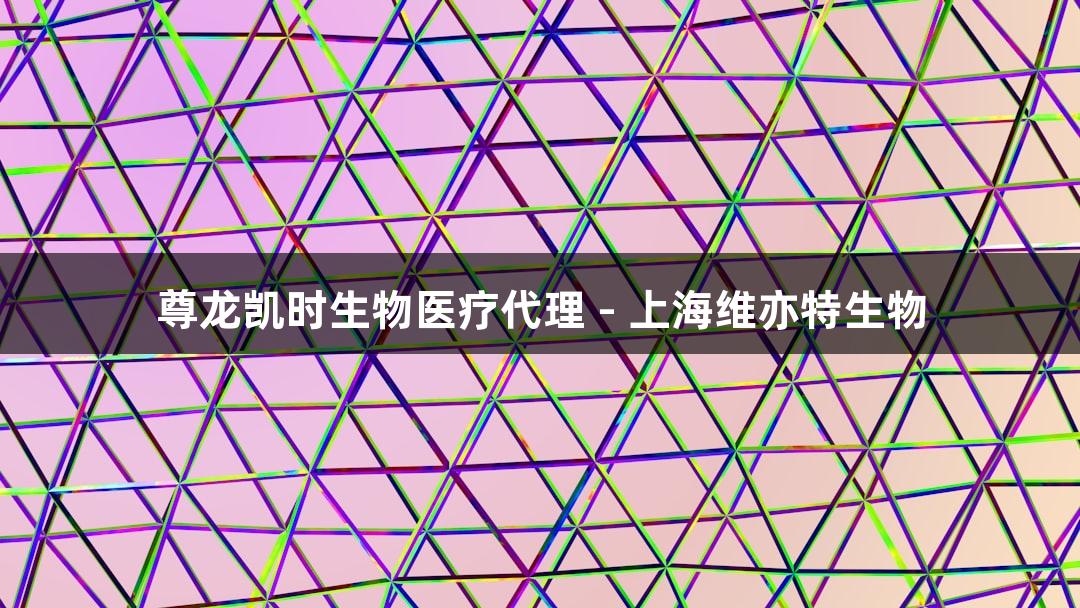 尊龙凯时生物医疗代理 - 上海维亦特生物