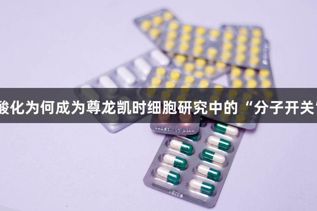 磷酸化为何成为尊龙凯时细胞研究中的“分子开关”？