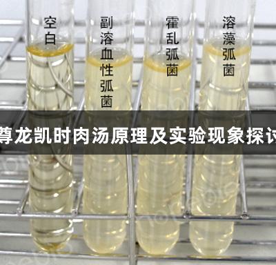 尊龙凯时肉汤原理及实验现象探讨
