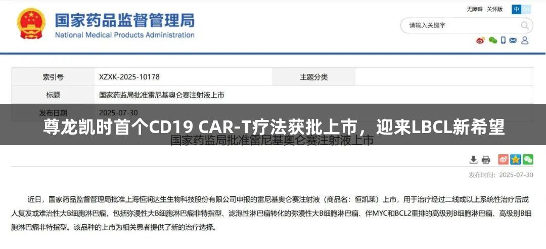 尊龙凯时首个CD19 CAR-T疗法获批上市，迎来LBCL新希望