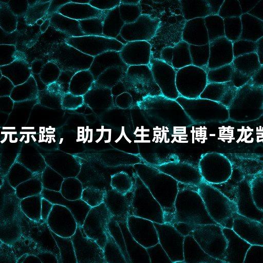Polysciences膜标记与神经元示踪，助力人生就是博-尊龙凯时的神经科学与组织学研究