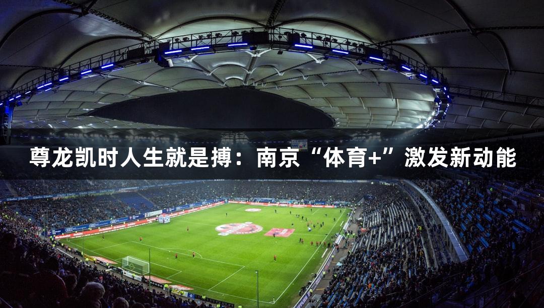尊龙凯时人生就是搏：南京“体育+”激发新动能