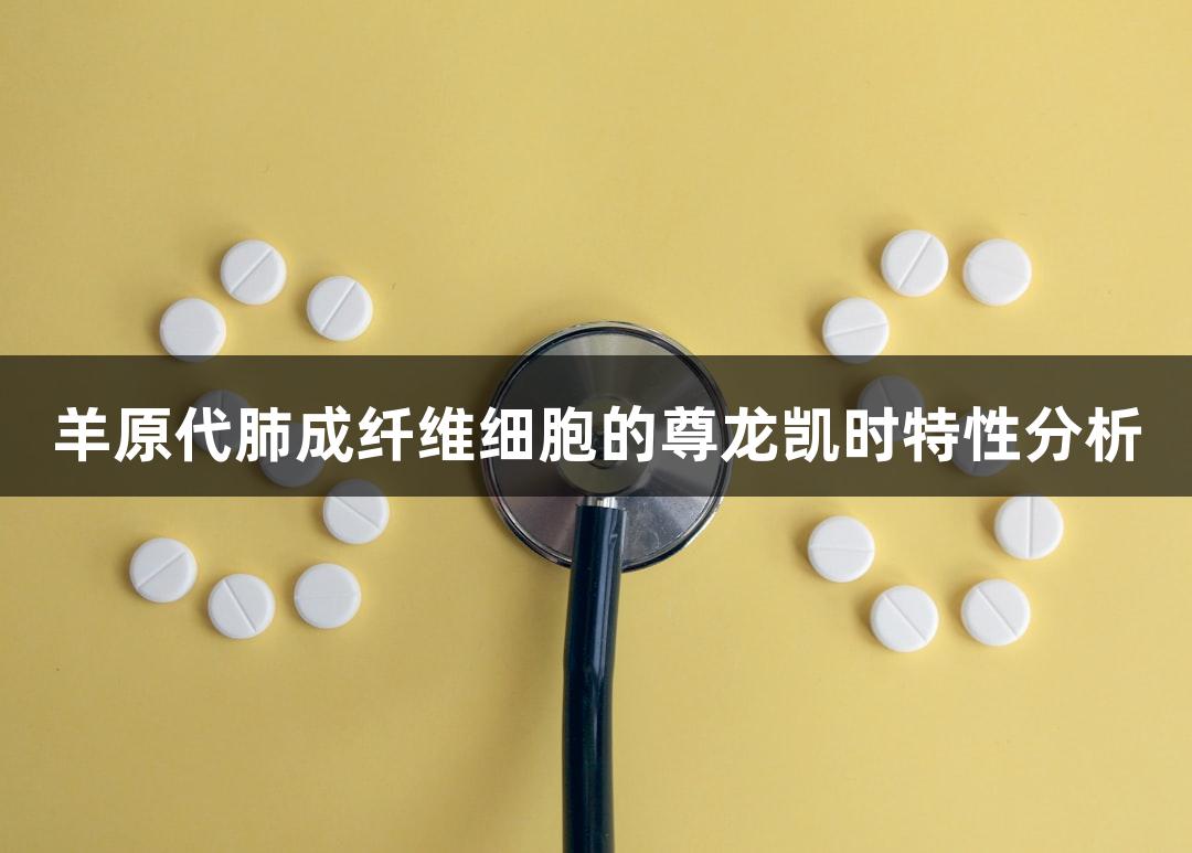 羊原代肺成纤维细胞的尊龙凯时特性分析