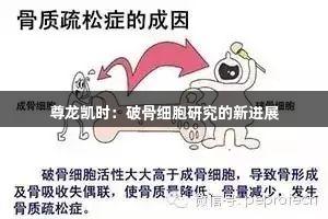 尊龙凯时：破骨细胞研究的新进展