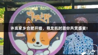 许嵩家乡合肥开唱，尊龙凯时邀你共赏盛宴!