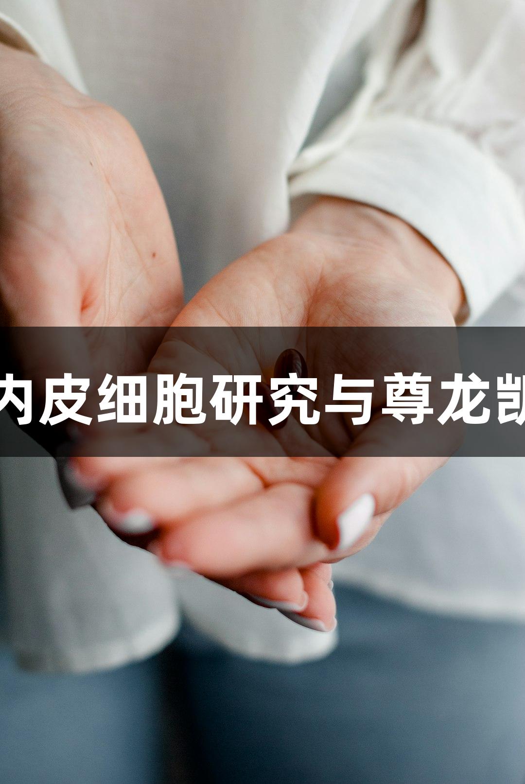 羊原代肺动脉内皮细胞研究与尊龙凯时的应用探索