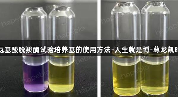 氨基酸脱羧酶试验培养基的使用方法-人生就是博-尊龙凯时