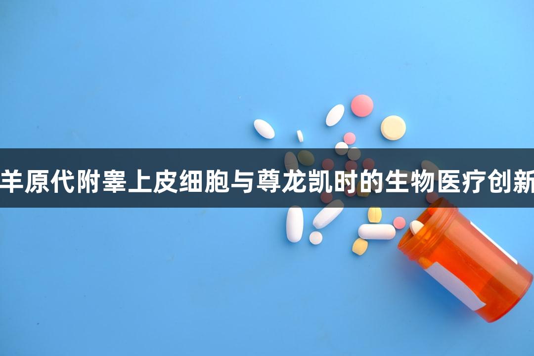 羊原代附睾上皮细胞与尊龙凯时的生物医疗创新