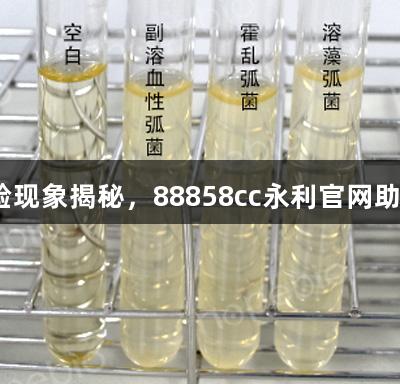 T1N3肉汤原理及实验现象揭秘，88858cc永利官网助您了解生物医疗奥秘
