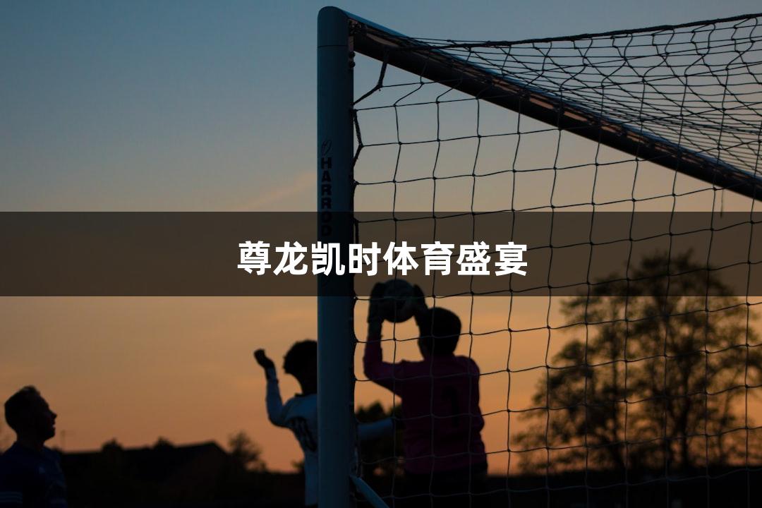 尊龙凯时体育盛宴