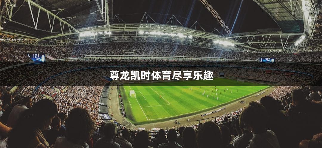 尊龙凯时体育尽享乐趣