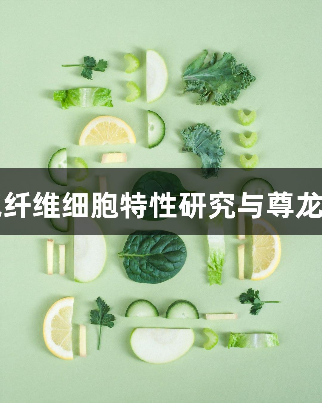 羊原代肺成纤维细胞特性研究与尊龙凯时的应用