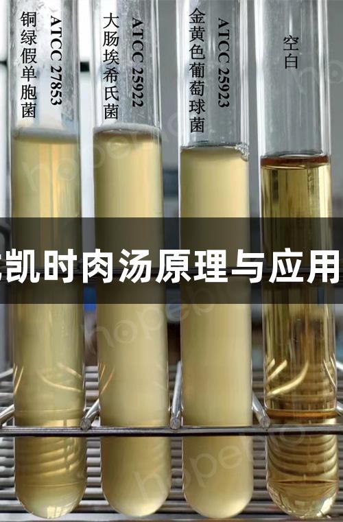 尊龙凯时肉汤原理与应用解析