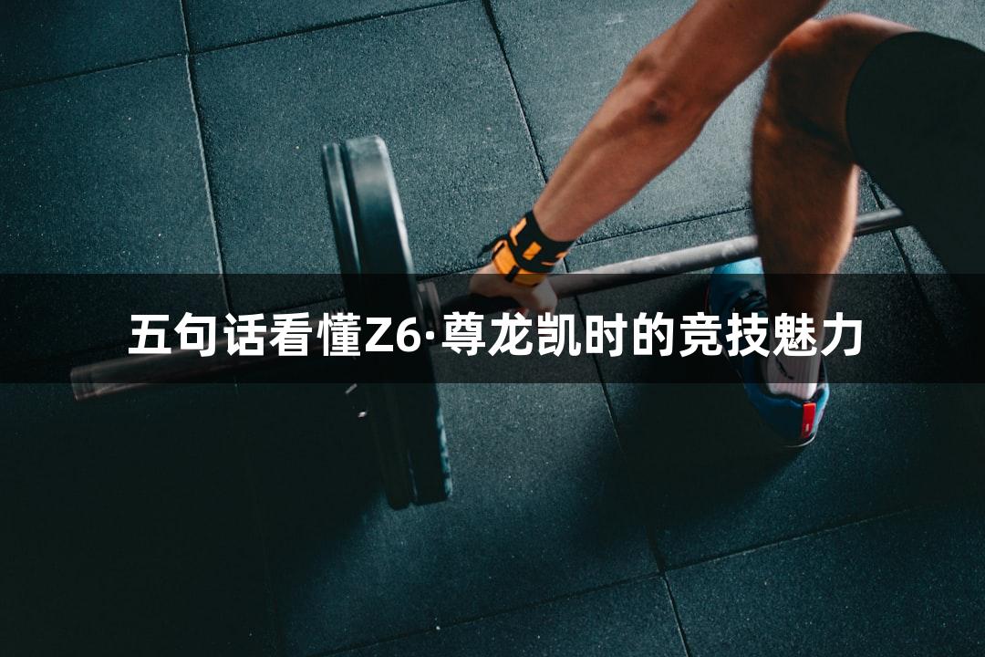 五句话看懂Z6·尊龙凯时的竞技魅力