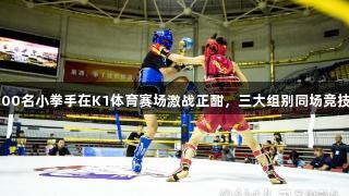 500名小拳手在K1体育赛场激战正酣，三大组别同场竞技。