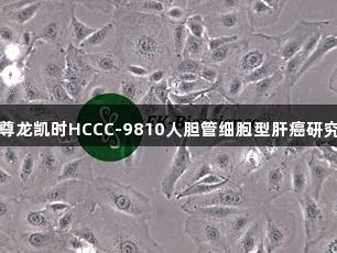 尊龙凯时HCCC-9810人胆管细胞型肝癌研究