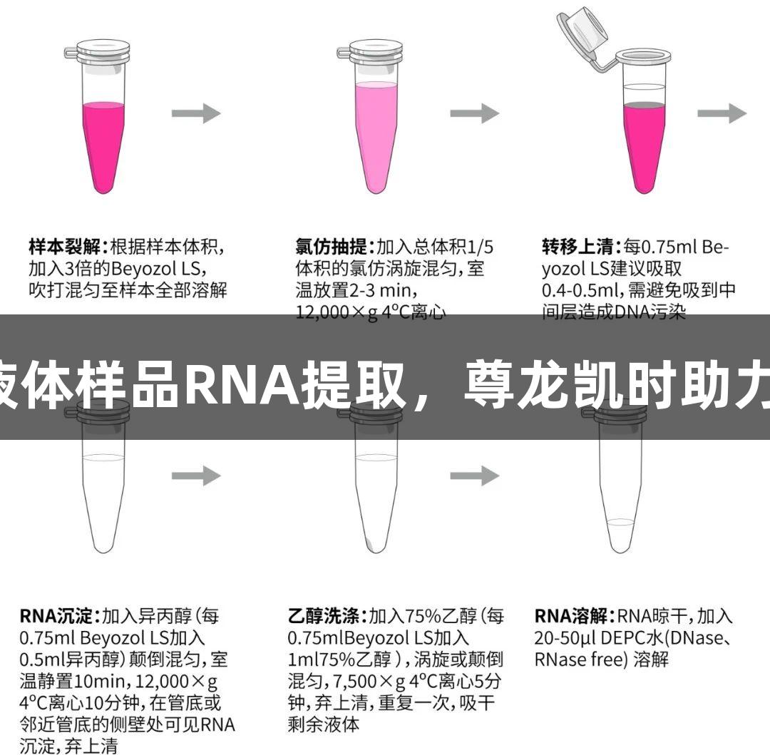 液体样品RNA提取，尊龙凯时助力！