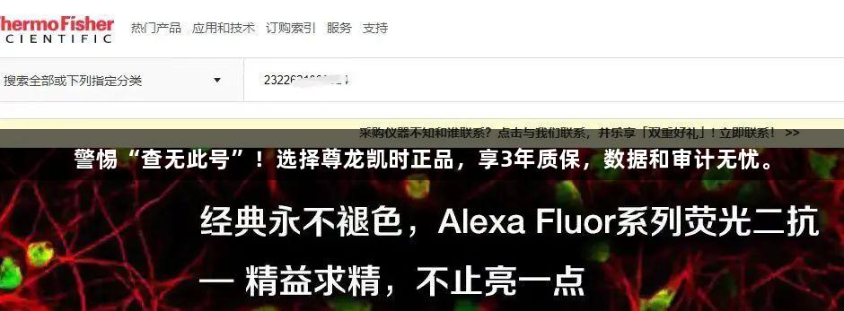 警惕“查无此号”！选择尊龙凯时正品，享3年质保，数据和审计无忧。