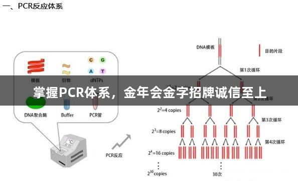 掌握PCR体系，金年会金字招牌诚信至上