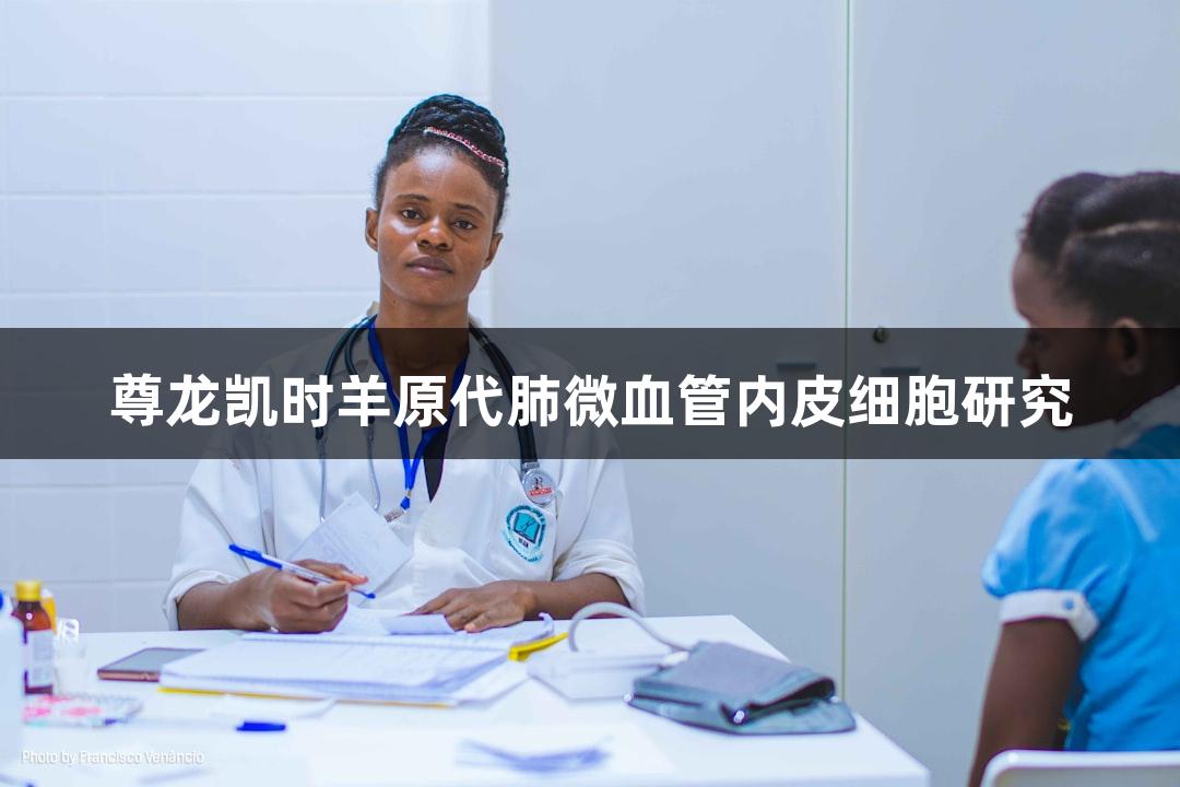 尊龙凯时羊原代肺微血管内皮细胞研究