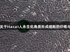 EVO视讯关于Hacat人永生化角质形成细胞的价格与货期信息