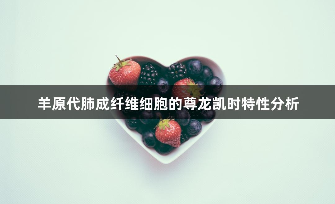 羊原代肺成纤维细胞的尊龙凯时特性分析