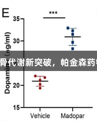 尊龙凯时助力神经调控骨代谢新突破，帕金森药物成为股骨头坏死克星！