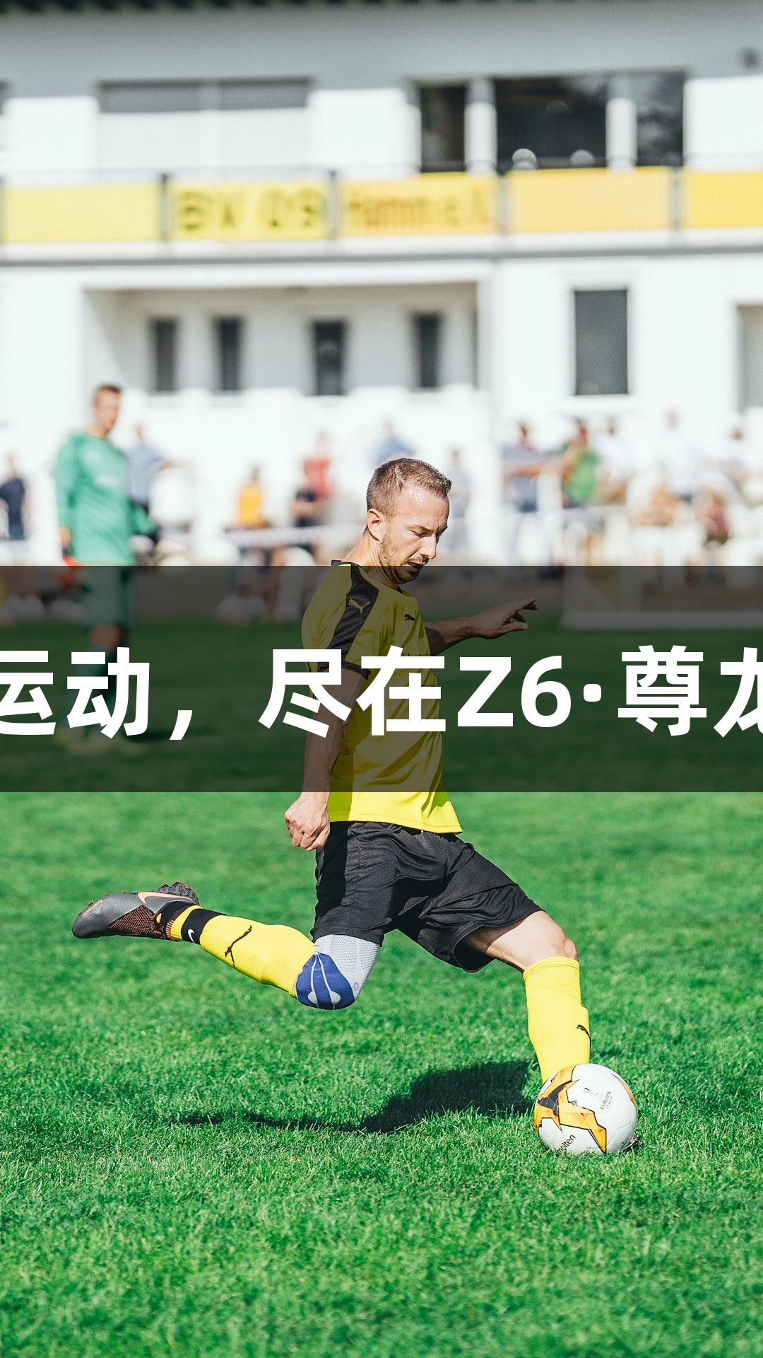 肆玩运动，尽在Z6·尊龙凯时
