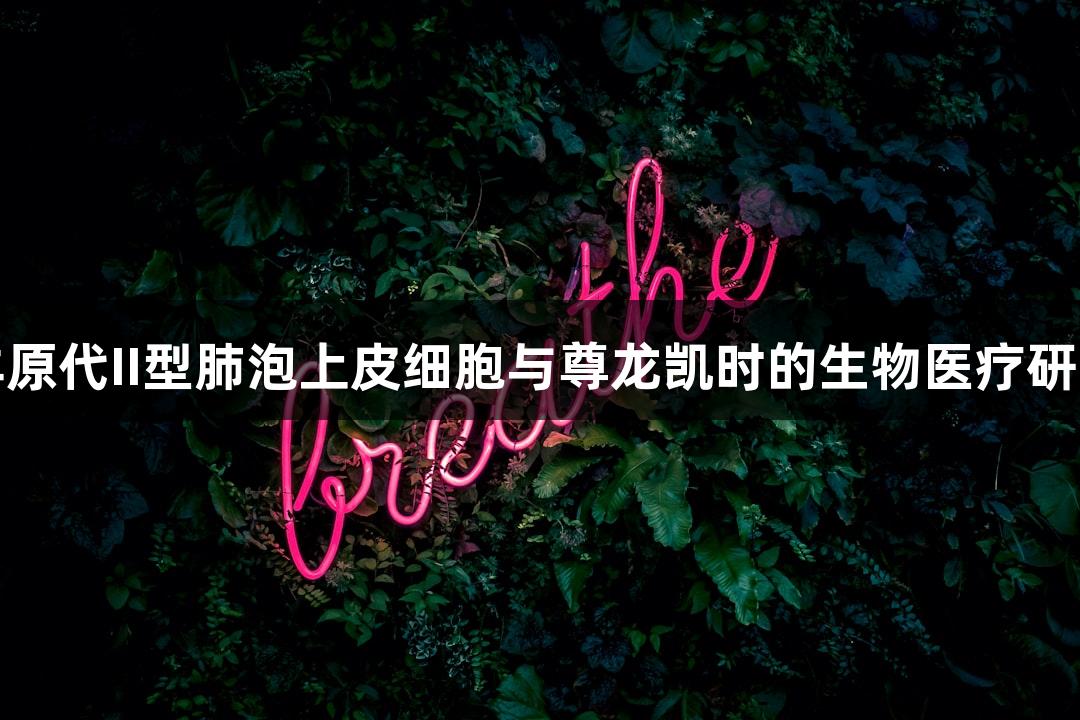 羊原代II型肺泡上皮细胞与尊龙凯时的生物医疗研究