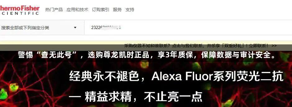 警惕“查无此号”，选购尊龙凯时正品，享3年质保，保障数据与审计安全。