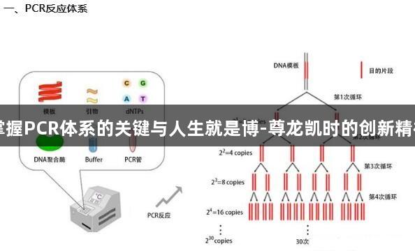 掌握PCR体系的关键与人生就是博-尊龙凯时的创新精神