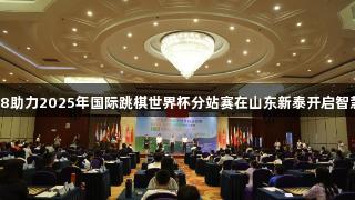 南宫28助力2025年国际跳棋世界杯分站赛在山东新泰开启智慧对决
