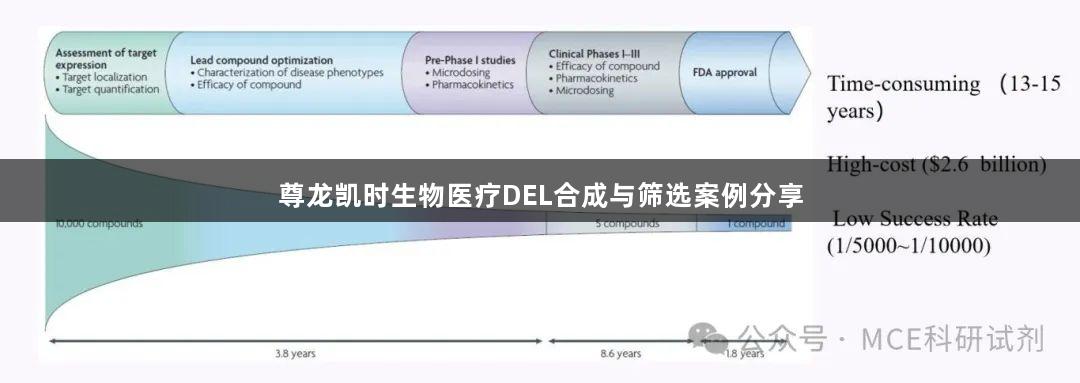 尊龙凯时生物医疗DEL合成与筛选案例分享