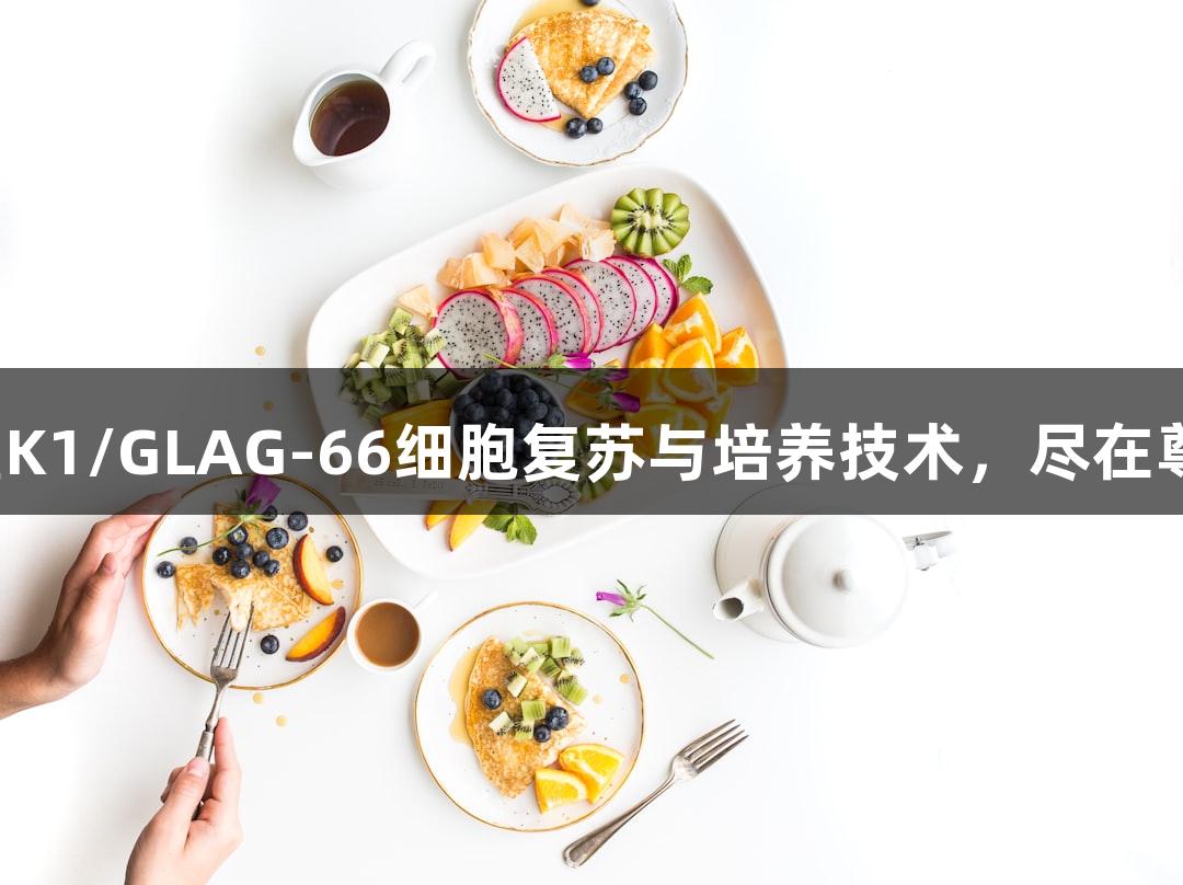 智立中特助您掌握K1/GLAG-66细胞复苏与培养技术，尽在尊龙凯时人生就博。