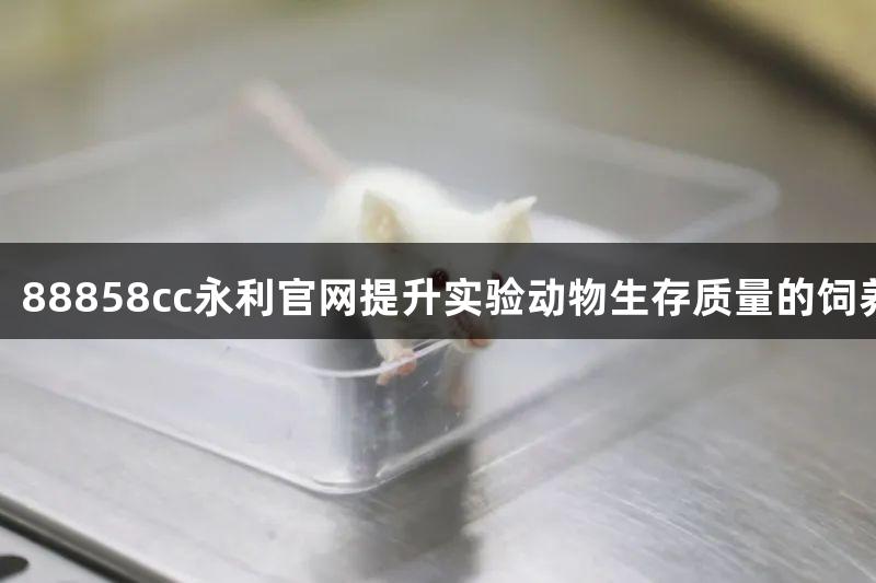 动物守护者：88858cc永利官网提升实验动物生存质量的饲养笼解决方案