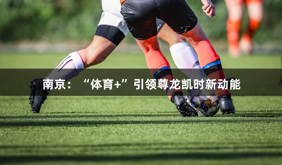 南京：“体育+”引领尊龙凯时新动能