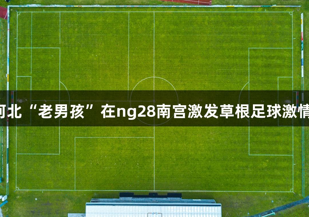 河北“老男孩”在ng28南宫激发草根足球激情！