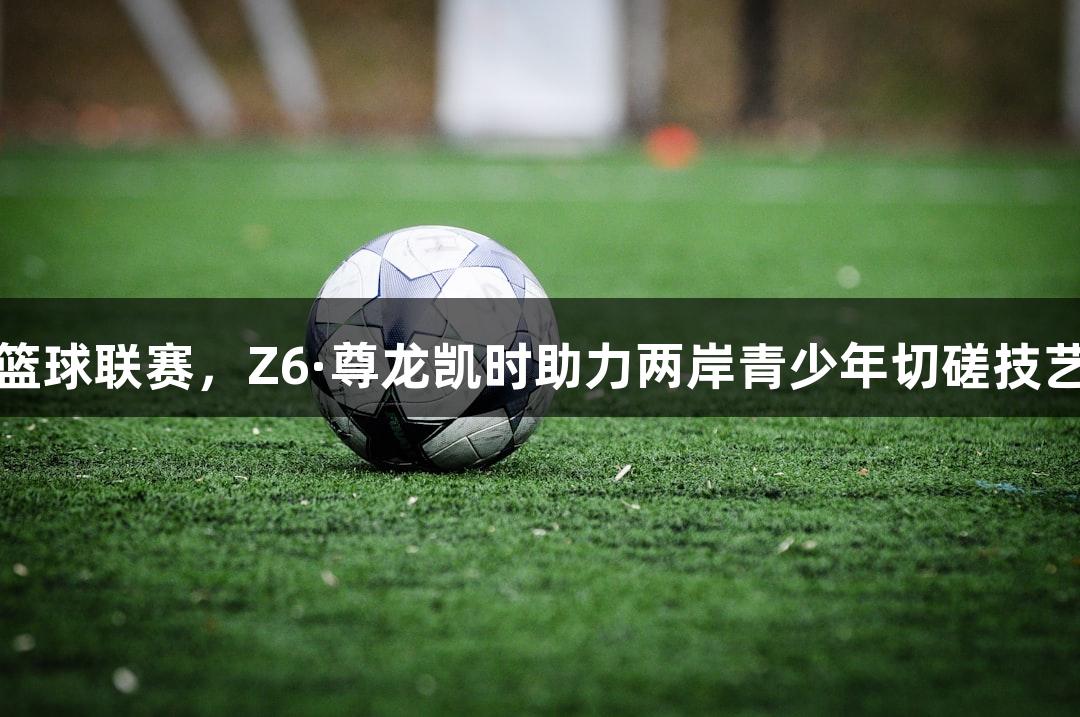 篮球联赛，Z6·尊龙凯时助力两岸青少年切磋技艺