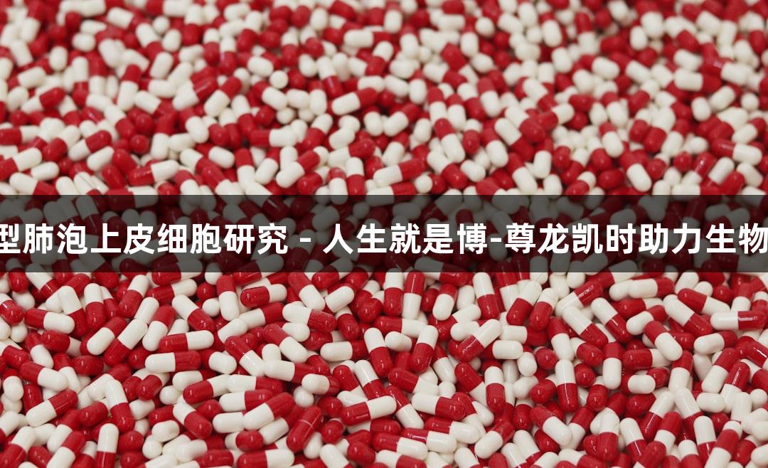 羊原代II型肺泡上皮细胞研究 - 人生就是博-尊龙凯时助力生物医疗创新