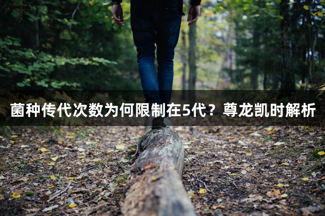 菌种传代次数为何限制在5代？尊龙凯时解析
