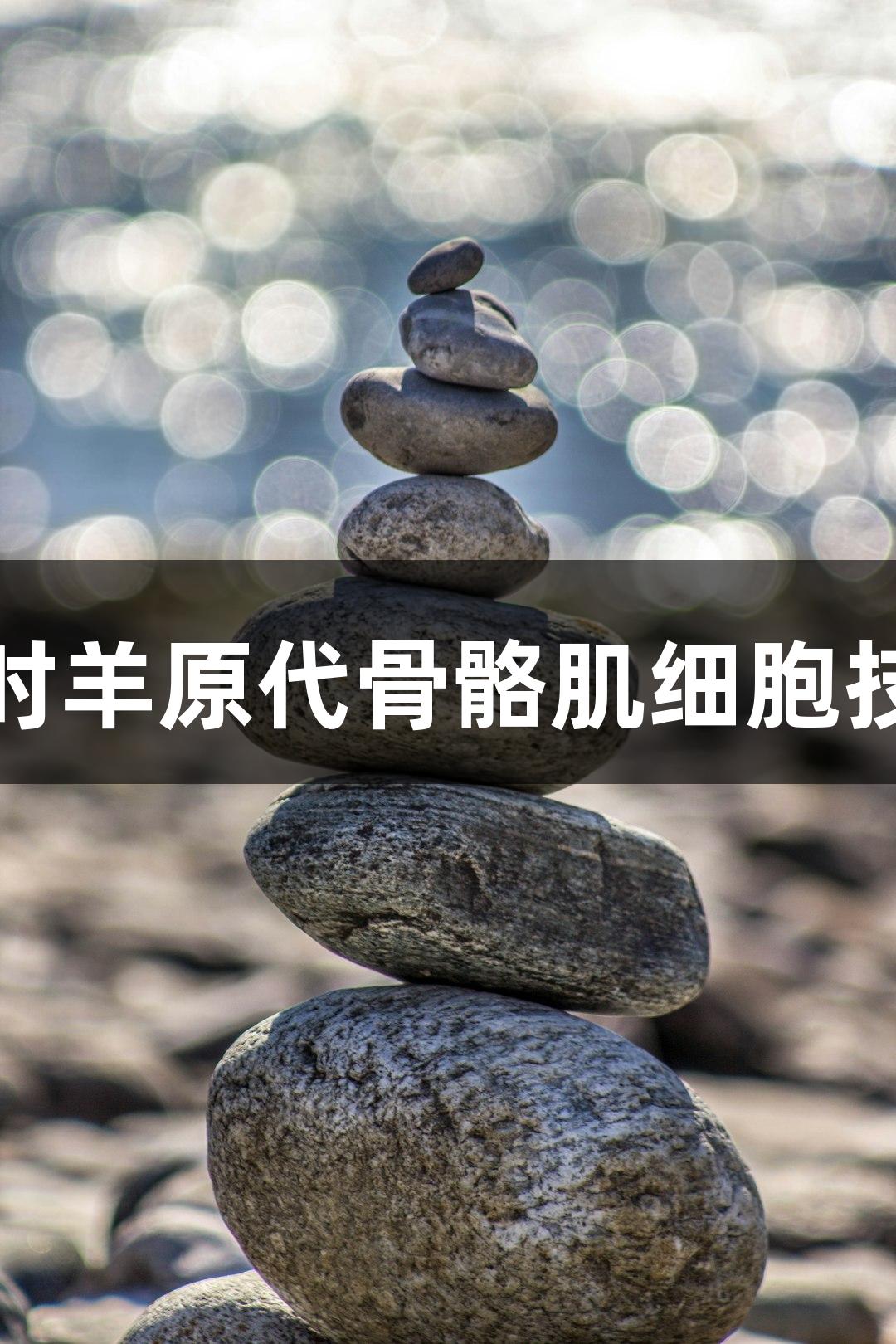 尊龙凯时羊原代骨骼肌细胞技术参数